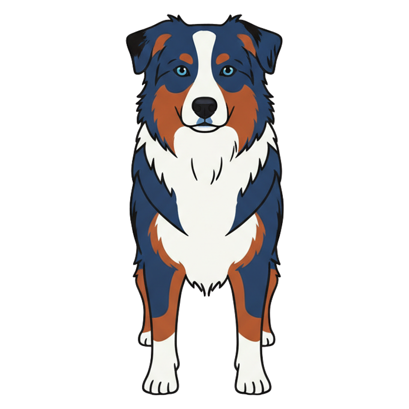 Australian Shepherd