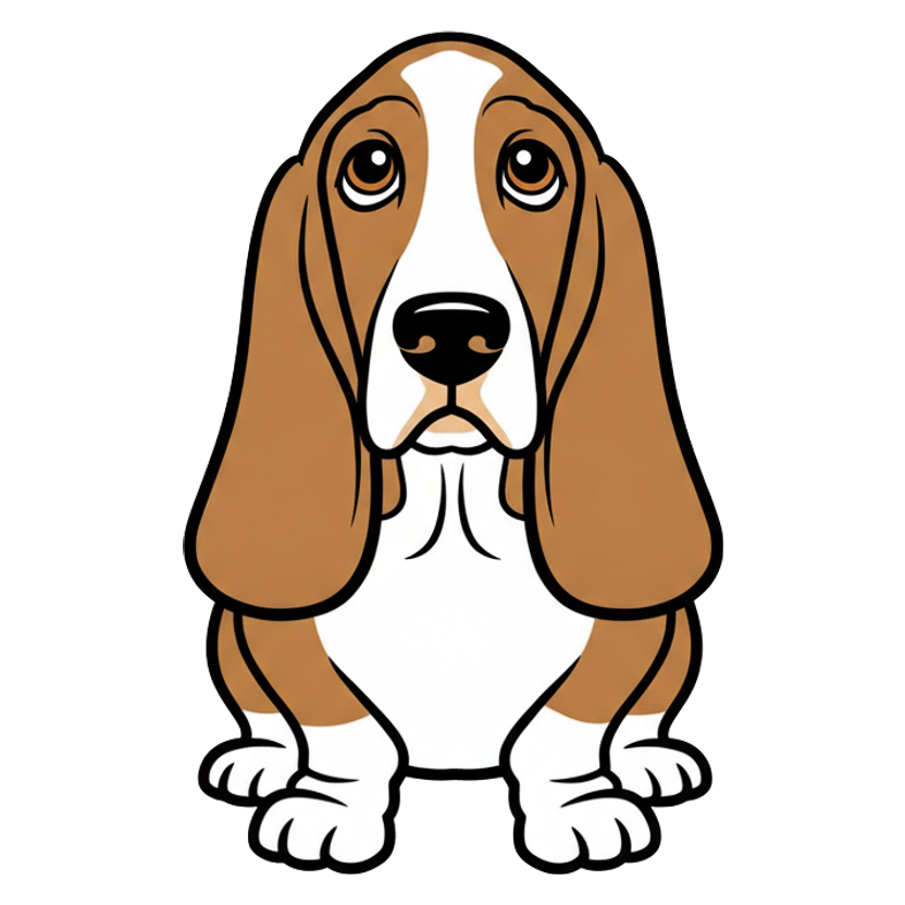 Basset Hound