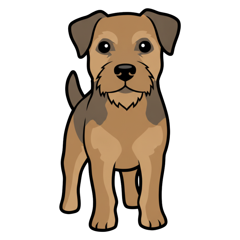 Border Terrier