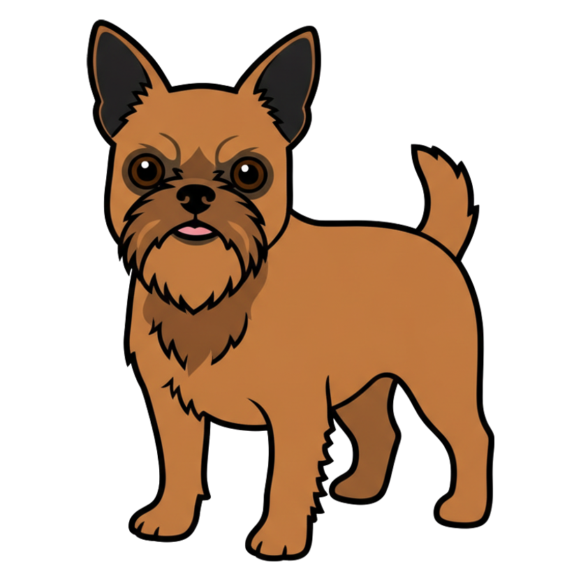 Brussels Griffon