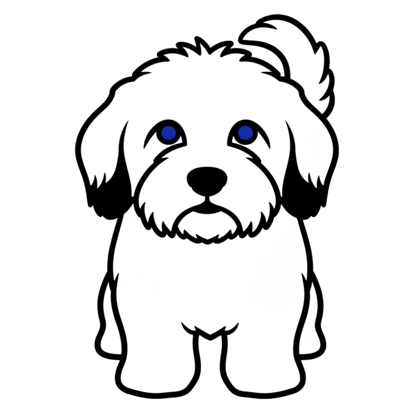Coton de Tulear