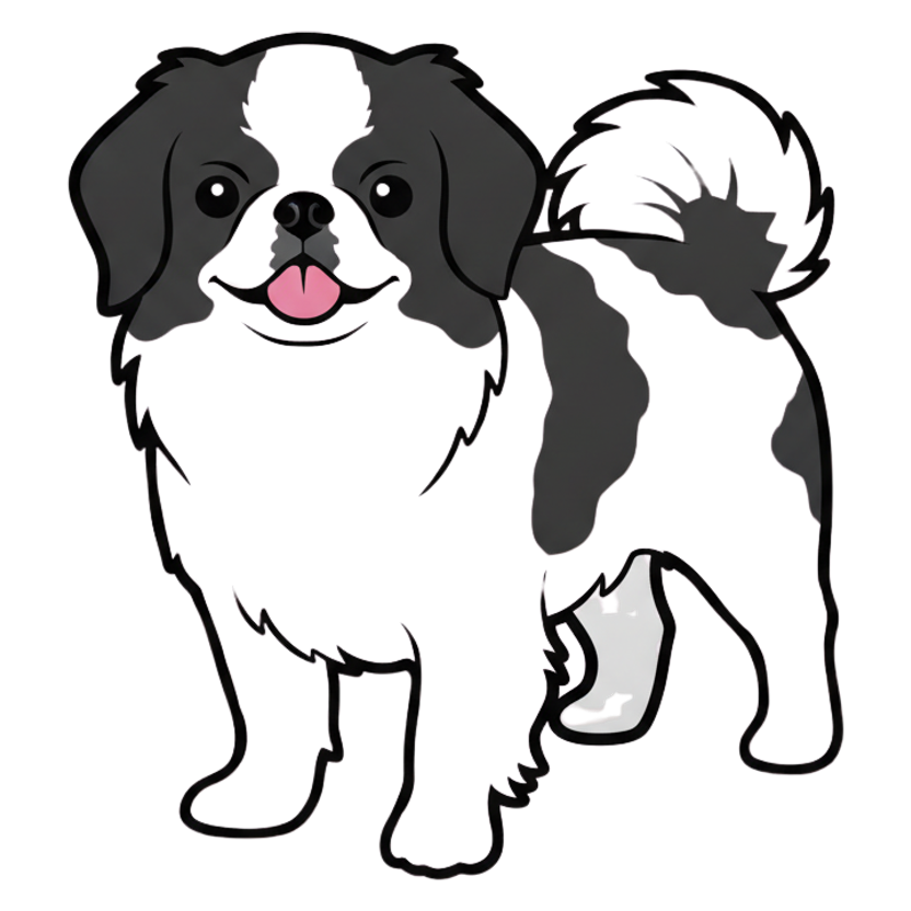 Japanese Chin