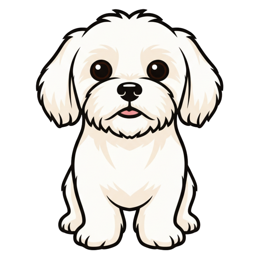 Maltese