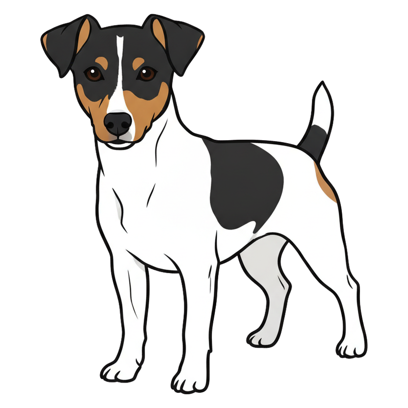 Rat Terrier