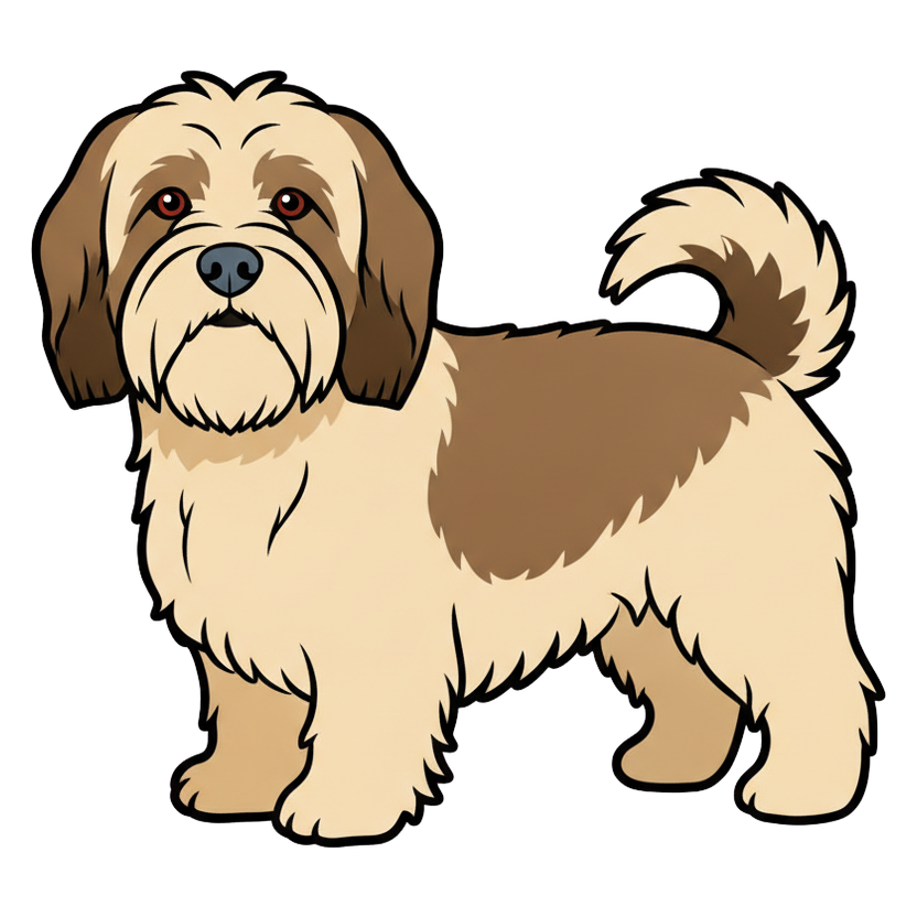 Tibetan Terrier
