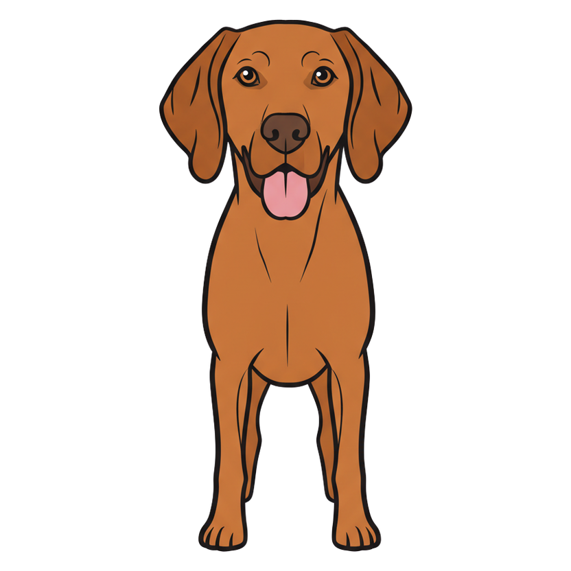 Vizsla